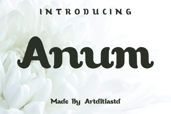 Anum: The Handwritten Font That Elevates Campaigns