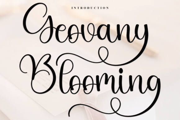 Geovany Blooming: A Designer’s Honest Review