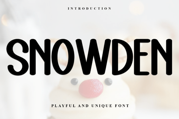 Snowden Font Review for Campaign Design