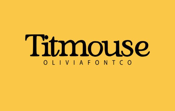 Titmouse: A Designer’s Honest Review of This Serif